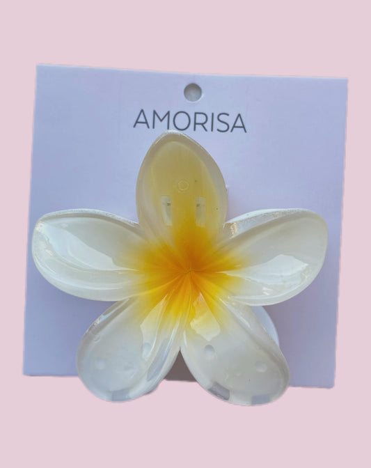 CAIMAN CANDY HAWAIANA