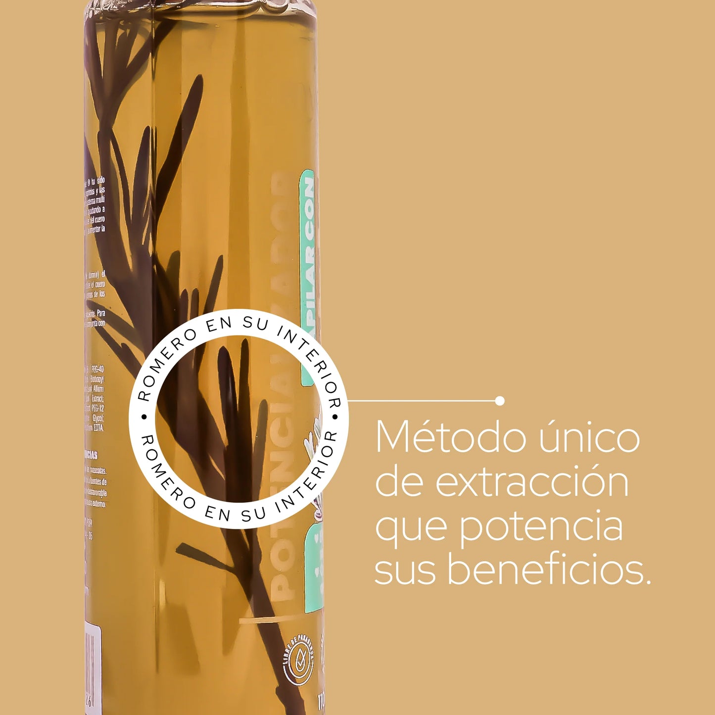 POTENCIALIZADOR DE ROMERO ANYELUZ