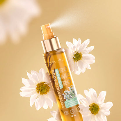 POTENCIALIZADOR DE ROMERO ANYELUZ