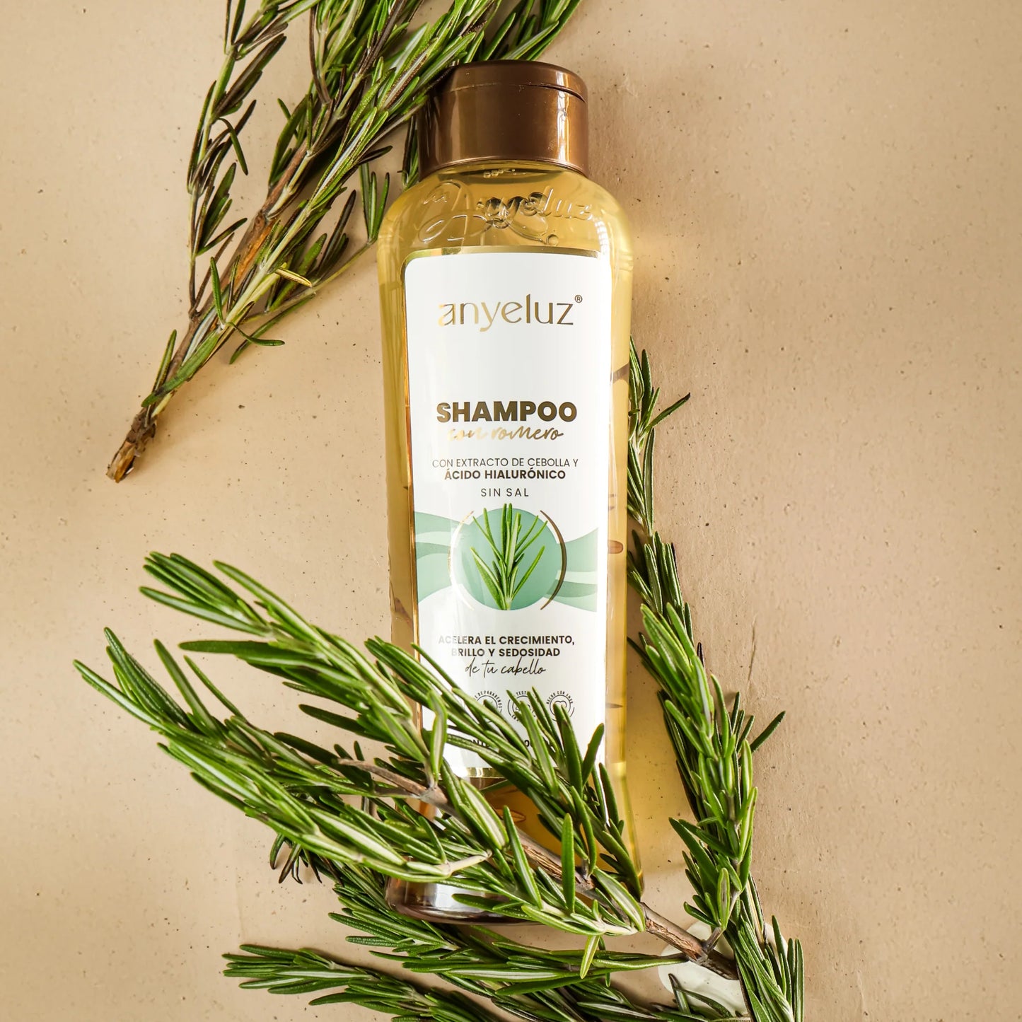 SHAMPOO CON ROMERO ANYELUZ